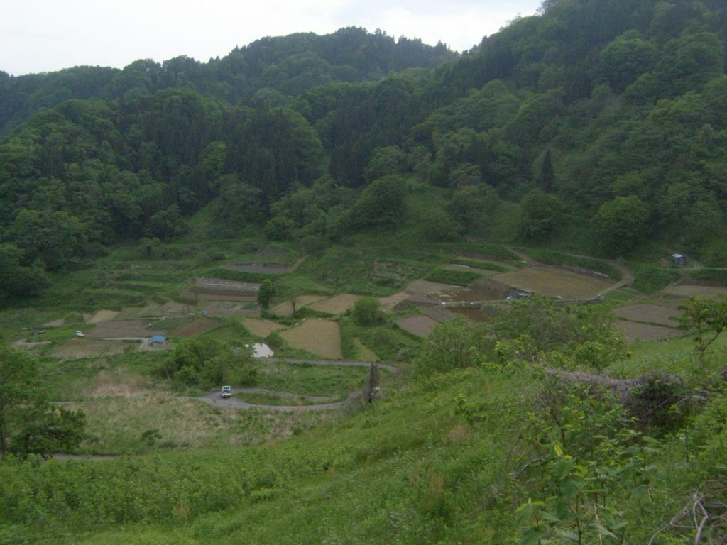 大西の棚田