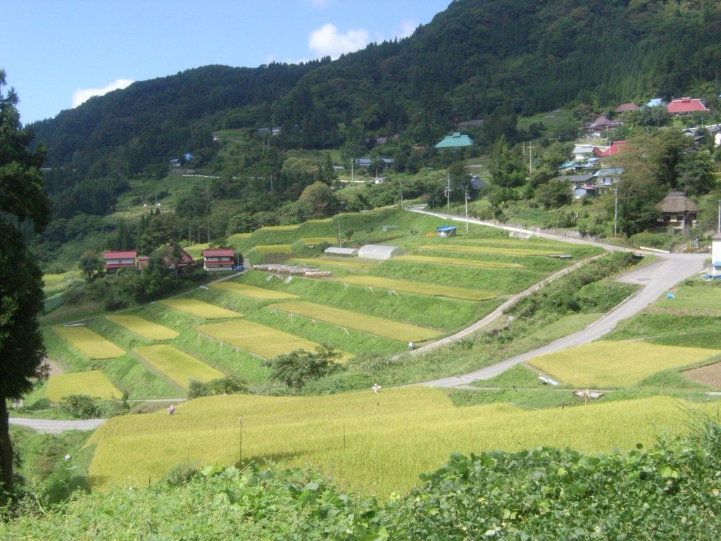 栃倉の棚田